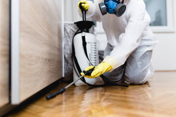 Best Wasp Removal Services  in Osceola, MO