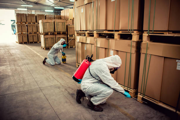 Best Best Pest Control Near Me  in Osceola, MO