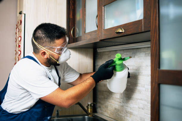 Trusted Osceola, MO Pest Control Experts