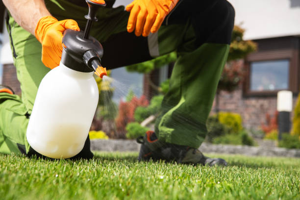 Best Best Pest Control Companies  in Osceola, MO