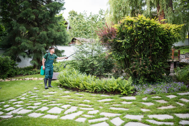 Best Residential Pest Control  in Osceola, MO