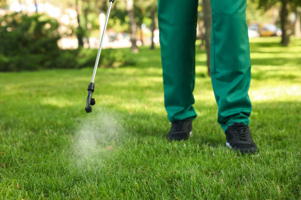 Best Emergency Pest Control  in Osceola, MO