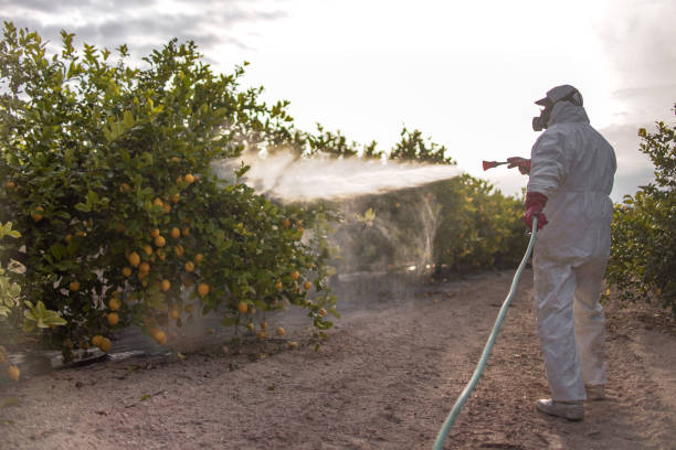 Insect Control in Osceola, MO