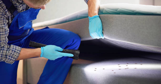 Best Local Pest Control Services  in Osceola, MO