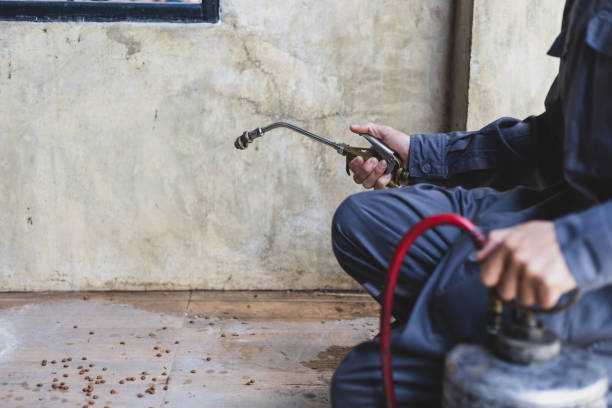 Best Emergency Pest Control  in Osceola, MO