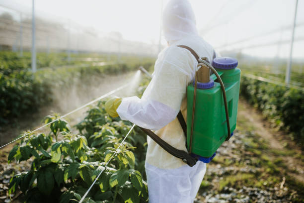 Best Commercial Pest Control Services  in Osceola, MO